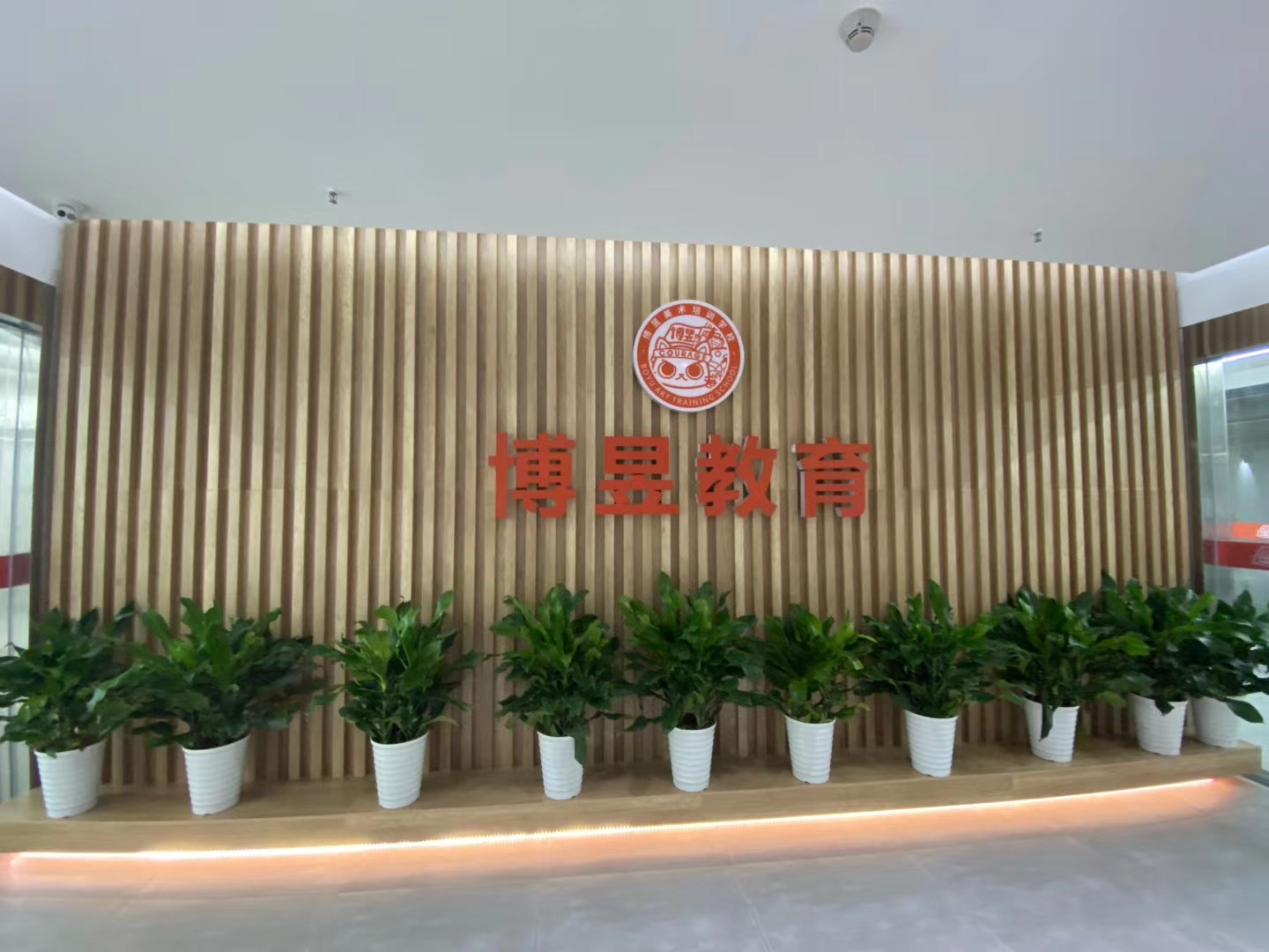 武漢市青山區(qū)博昱美術(shù)培訓(xùn)學(xué)校